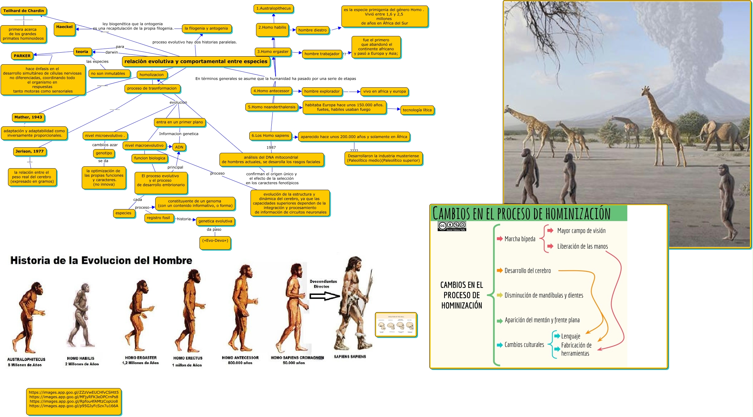 elación evolutiva y comportamental entre especies evolucion